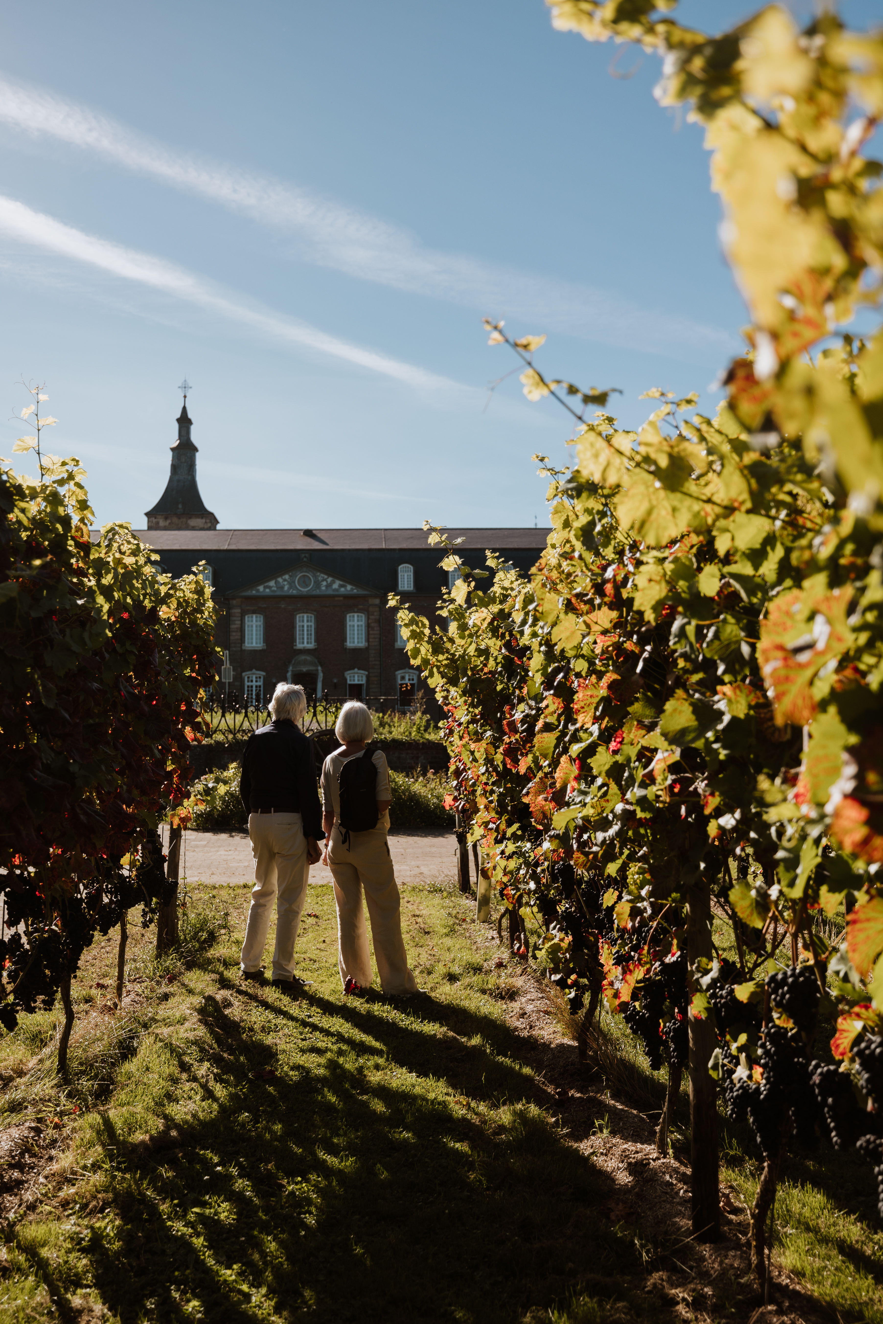 Wandelroute Kerkrade - Wandelen langs water en wijn